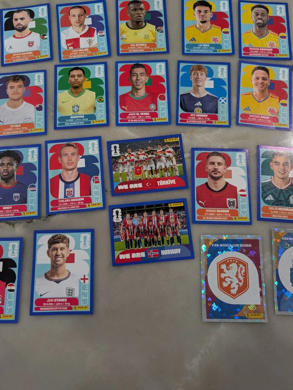 Panini fifa world